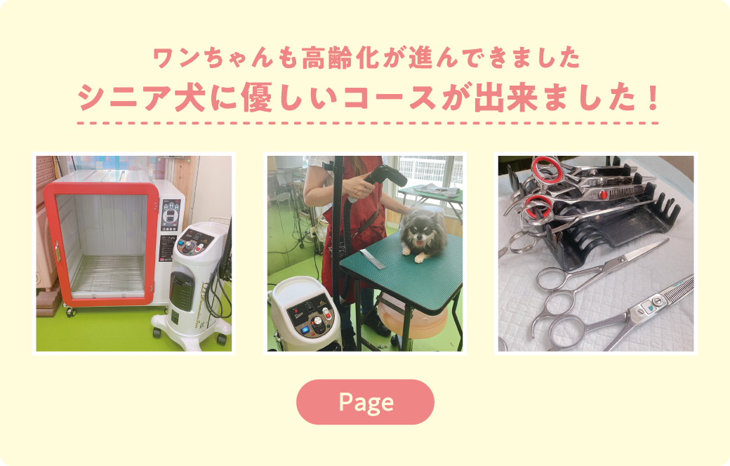 ワンちゃんも高齢化が進んできました シニア犬に優しいコースが出来ました!