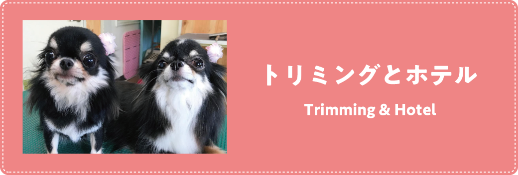 トリミングとホテル [Trimming & Hotel]